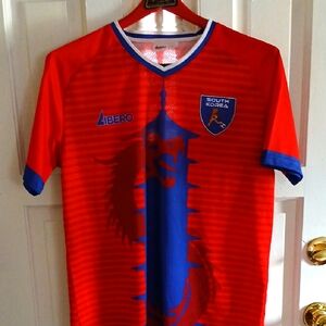 Men  Red and Blue Graphic T-Shirt